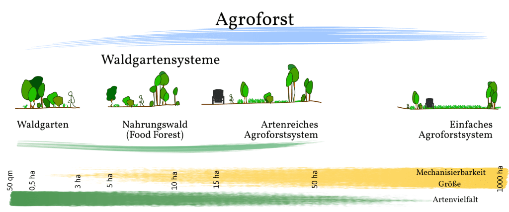 Grafik: Einteilung von Waldgartensystemen